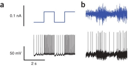 Square-wave and square-wave noise driving currents